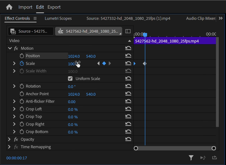 Effect Controls with Motion expanded and Scale highlighted